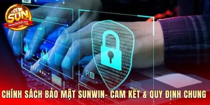 Tổng hợp các cam kết và quy định bảo vệ người dùng