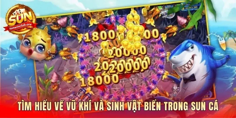 Phân loại vũ khí và giá trị từng sinh vật biển